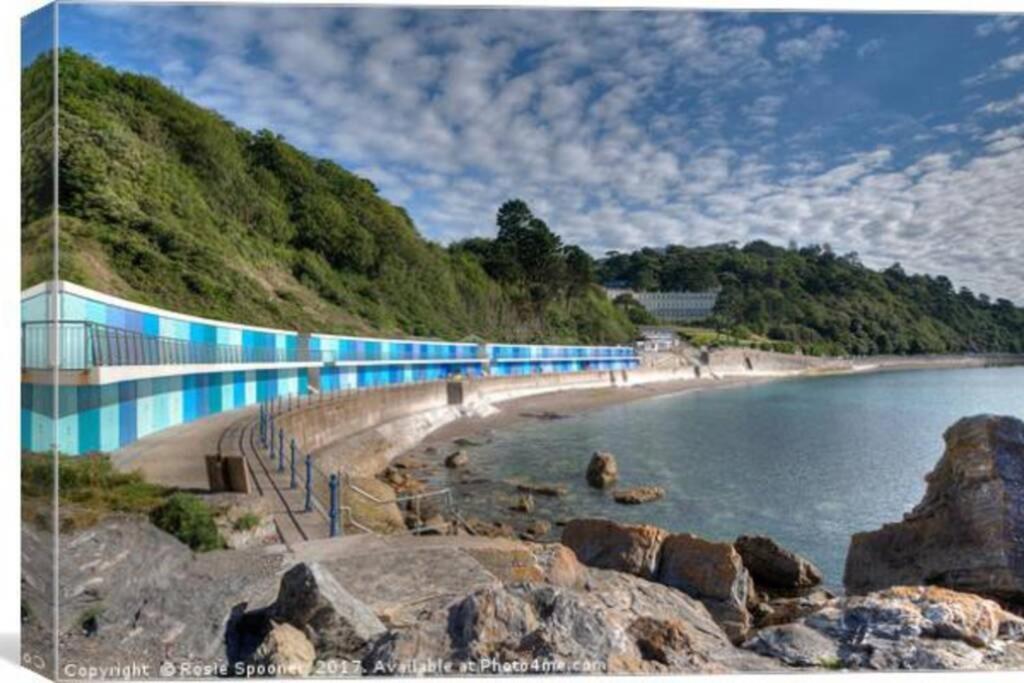 **Sunny And Bright, Thatchers Rock One Bed Beach Front Apartment*** Torquay Exteriör bild